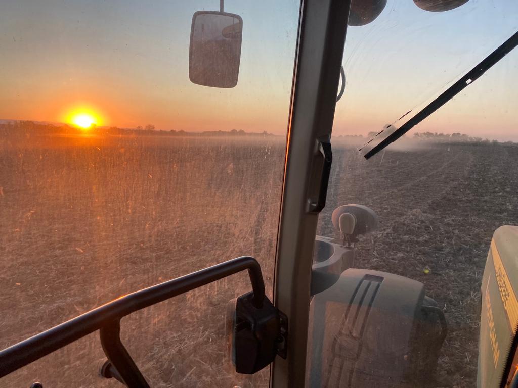 Agro field sunrise