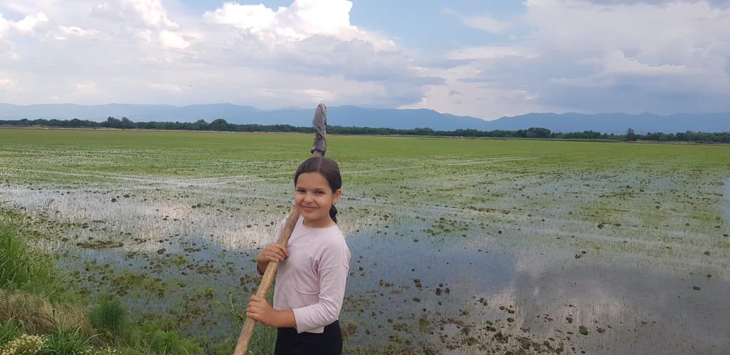 Young farmer on rice field